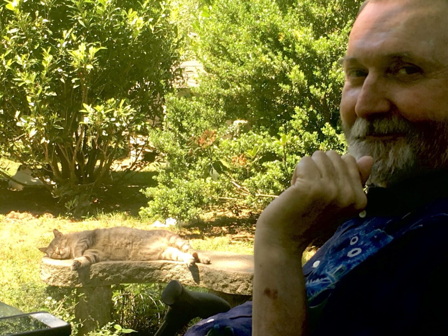 A man sitting in the grass near some trees.